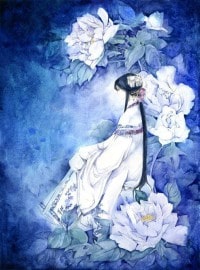 傻瓜